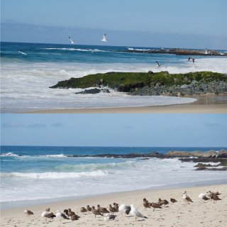 南加州小众隐秘海滩｜海鸥、礁石、悬崖 1...