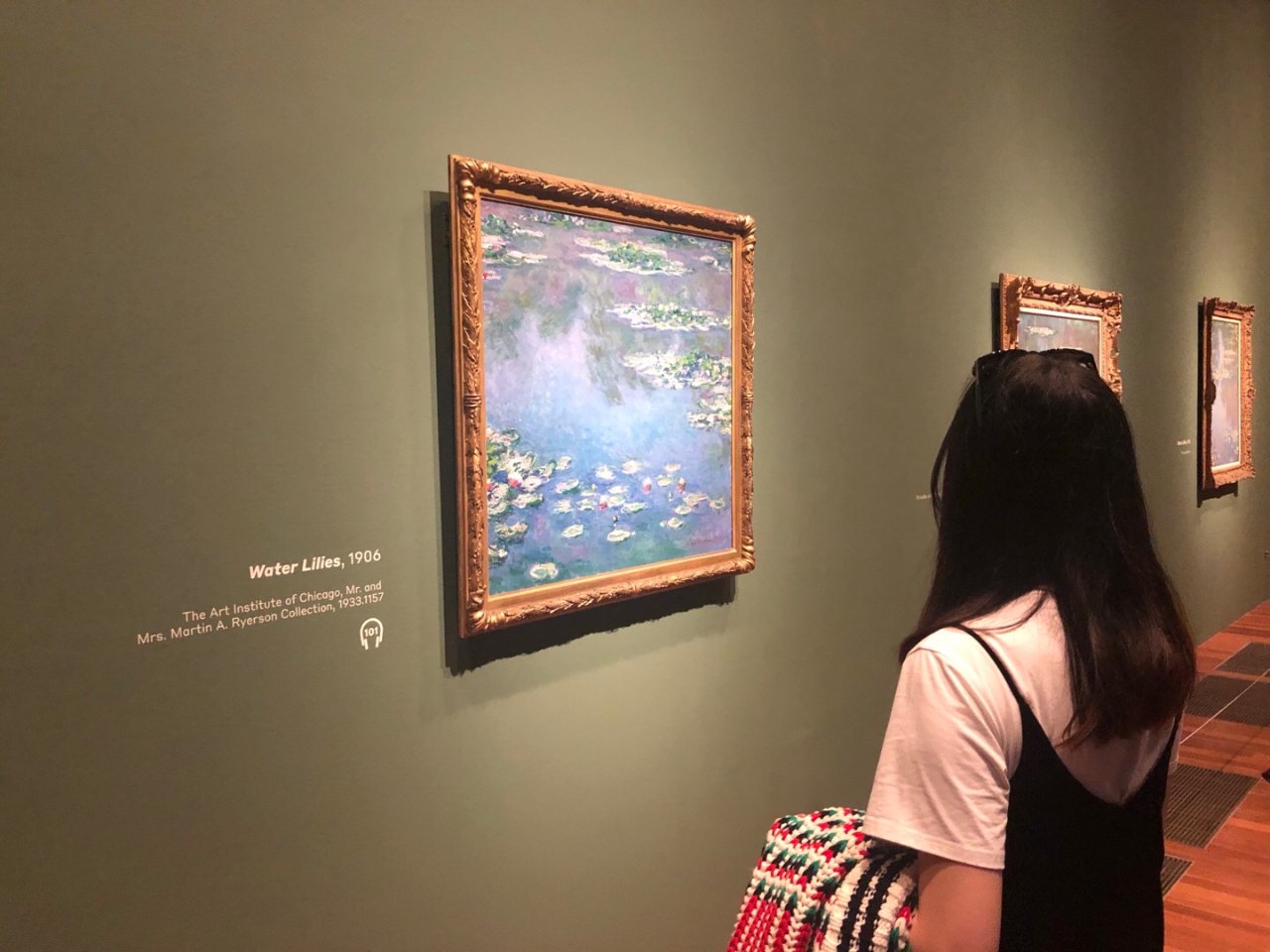 de young museum,Monet 莫奈,Water lilies