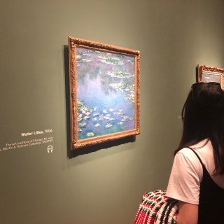 de young museum,Monet 莫奈,Water lilies