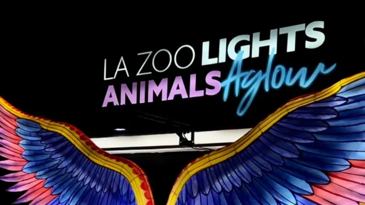 洛杉矶夜间动物园圣诞灯光秀开始啦