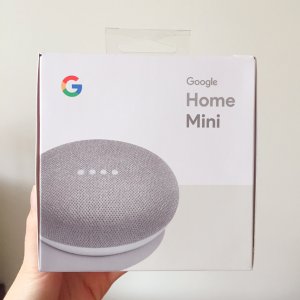 Day 4 | 免费的Google Home Mini