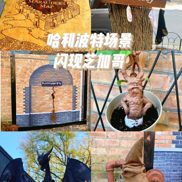 晒货图片