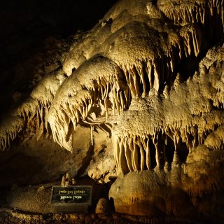 旅行日记·Carlsbad洞窟国家公园·...