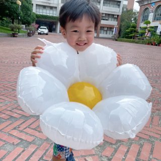 夏日多巴胺｜小雛菊🌼氣球🎈...