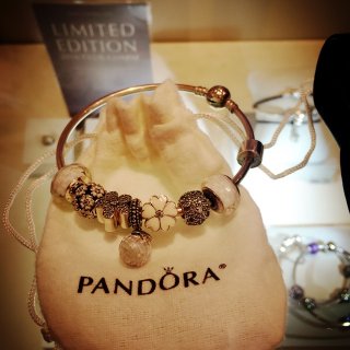 Pandora 潘多拉,417.00美元