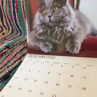 2020月曆｜我家掛了貓月曆🐱🐱...