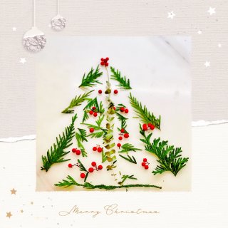 圣诞限定｜做一棵圣诞树，喜欢就拿走吧✌️...