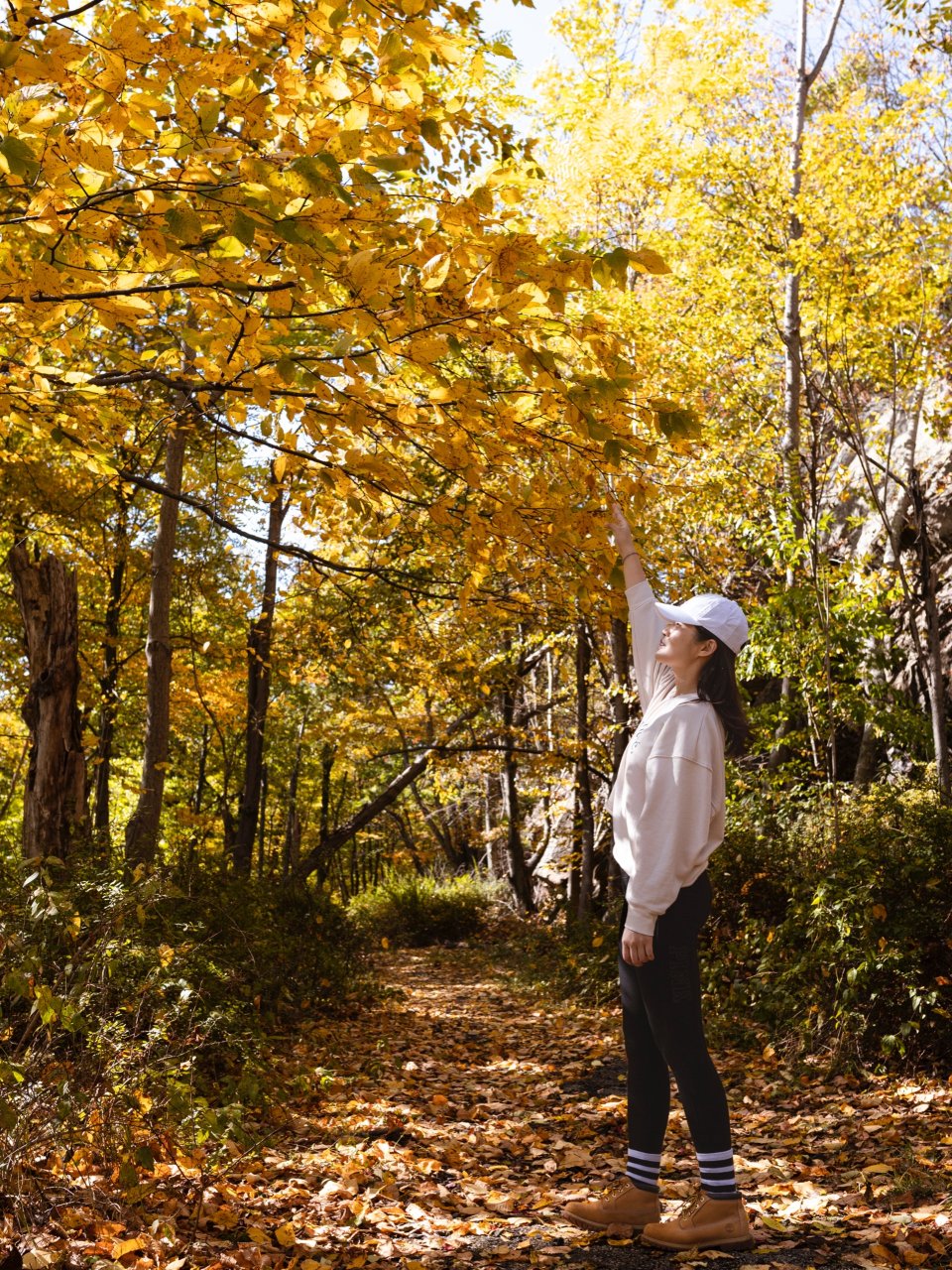 纽约熊山枫叶前来报到/附hiking拍照路线攻略🍁 | 社区城市精选