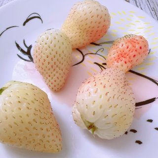 HEB白草莓新鲜又便宜🍓🍓...