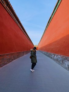 紫禁城的红墙绿瓦，春节前故宫游