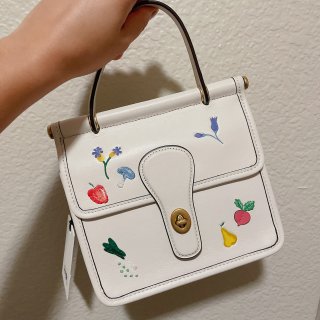 Coach 蔻驰