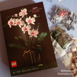 【LEGO】兰花盆景买了吗...
