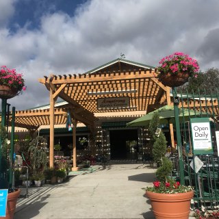 南加州漫步|圣地亚哥园艺探店（1）...