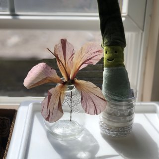 DIY一瓶花