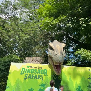 纽约布朗克斯动物园恐龙日，6月24日开始...