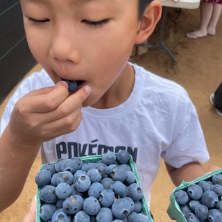 母亲节逛花海，摘蓝莓！ ...