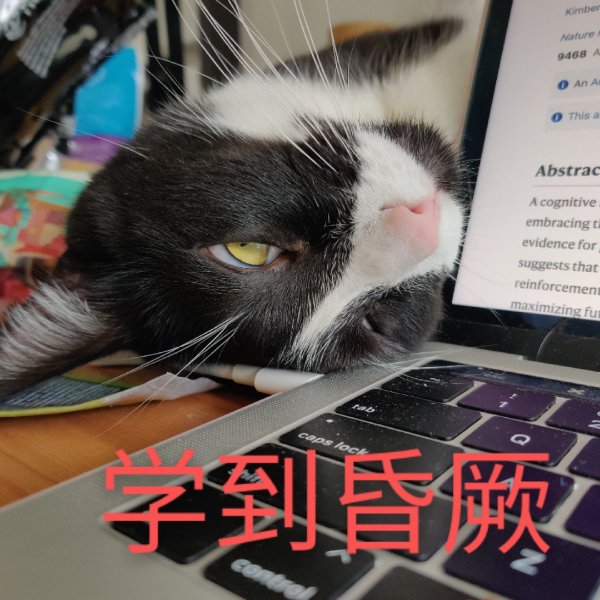 晒货图片