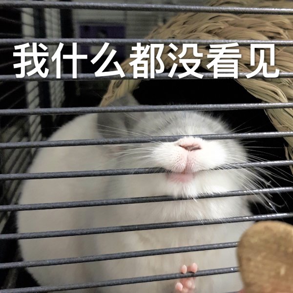 晒货图片