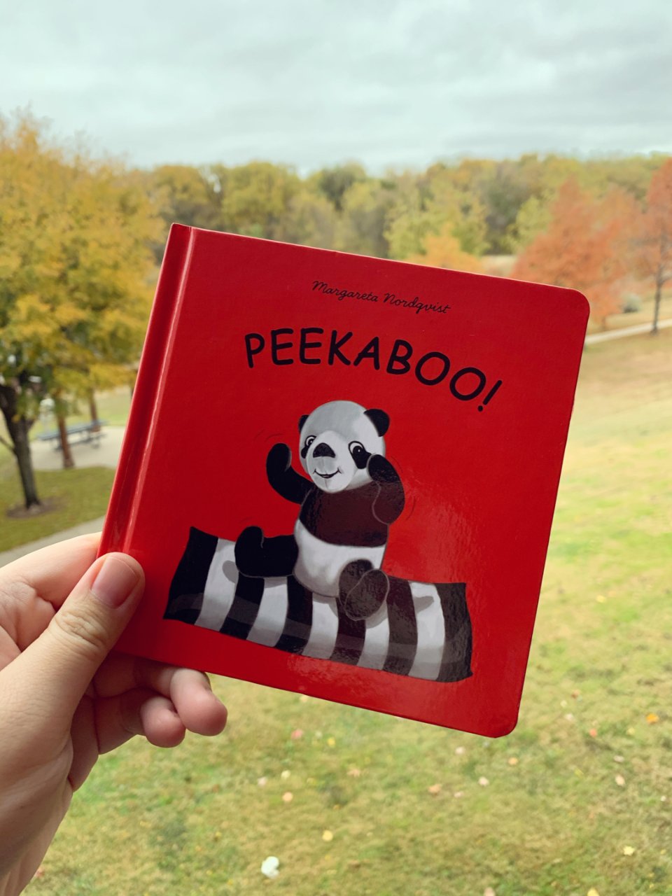 适合6m+宝宝的Peekaboo书...