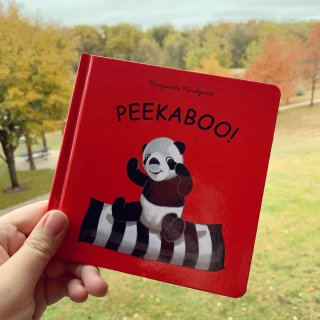 适合6m+宝宝的Peekaboo书...