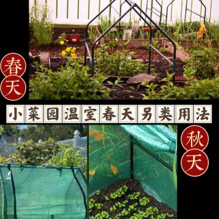 ✅小菜园温室春季的另类用法✅...