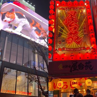 东京新宿街头随拍~几个地标性建筑和网红打...