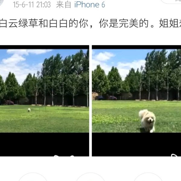 晒货图片