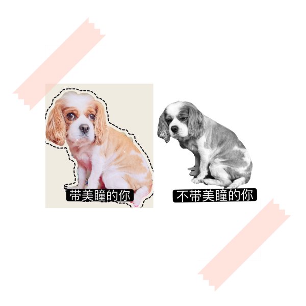 晒货图片