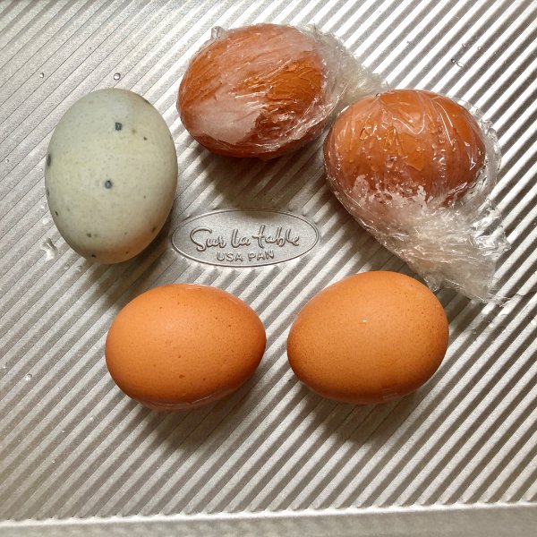 晒货图片