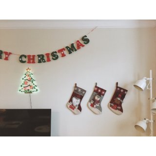 「节日限定」圣诞装饰DIY 🦌...
