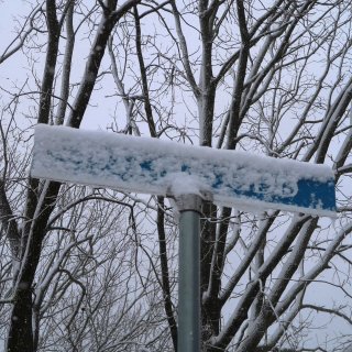 顶着鸡窝头赏雪｜今年的初雪❄️比往几年来...