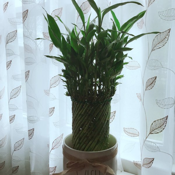 晒货图片