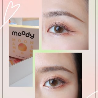 Moonage (Champagne Brown) | 1 Day, 10 pcs