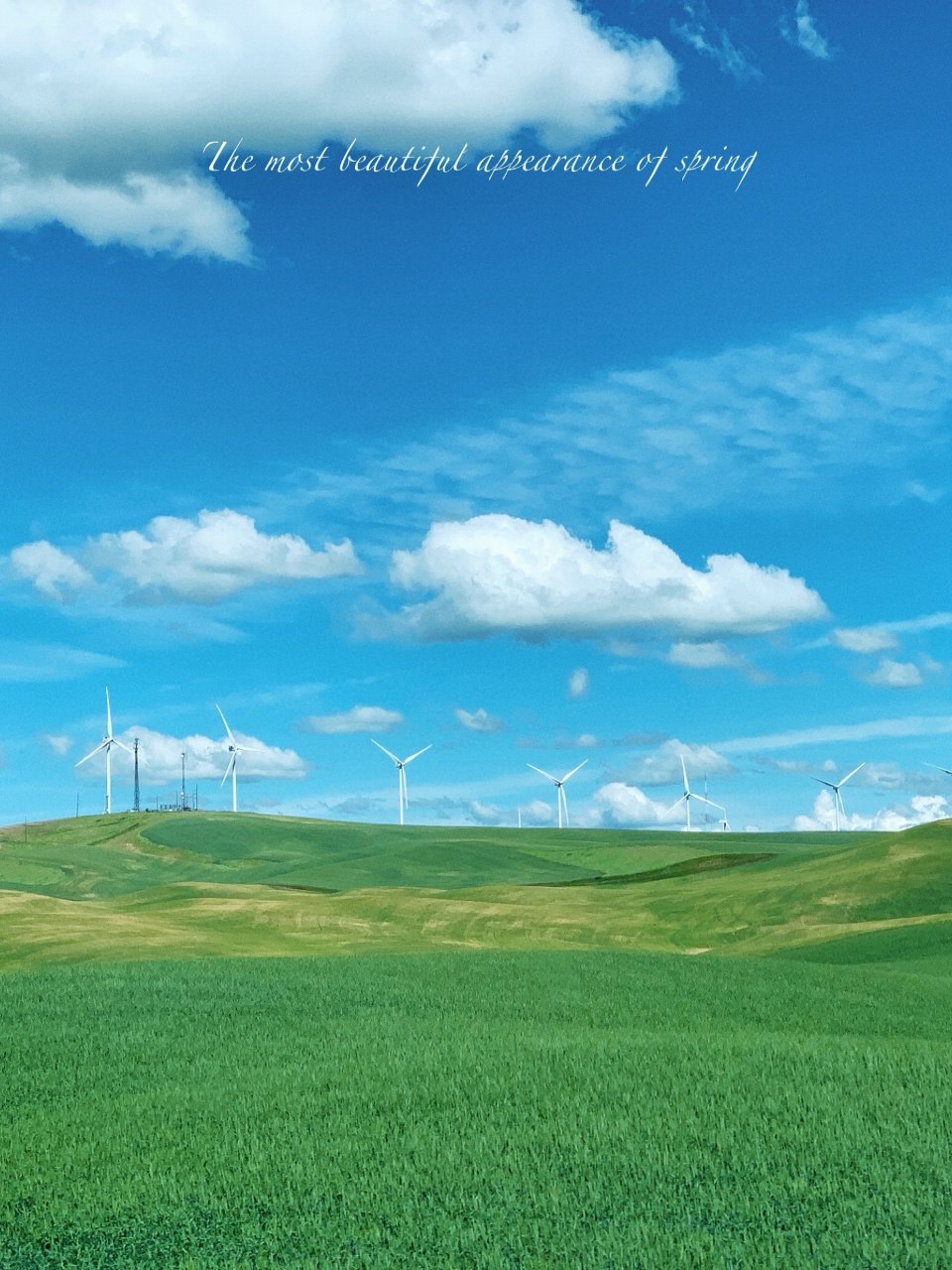 华盛顿州｜西雅图4h，这里每一帧都是壁纸～ | 社区城市精选