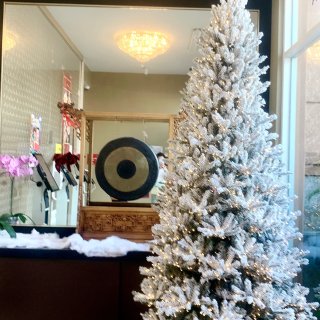 我与高大的装饰华丽的圣诞树🎄...