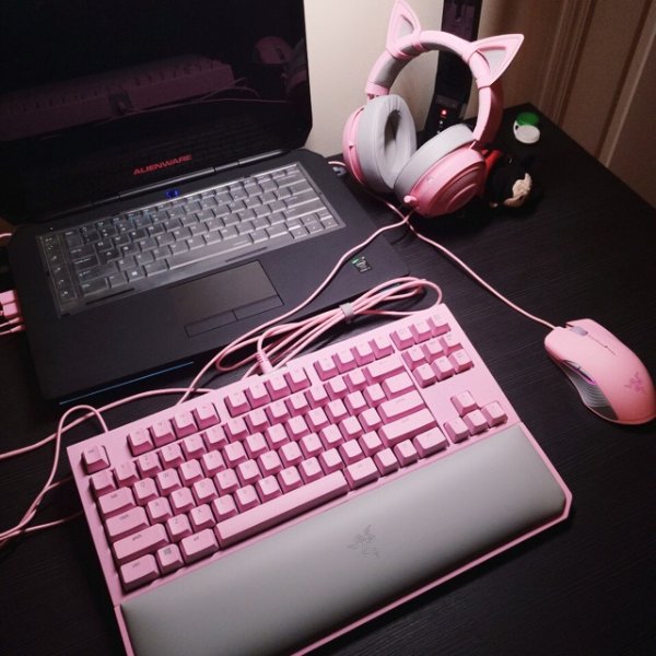 晒货图片