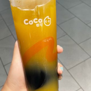 CoCo Fresh Tea & Juice - 纽约 - Flushing