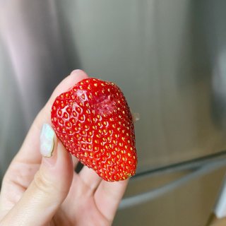摘了这么多草莓🍓的保存方法📒...