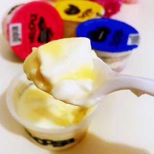 Costco 好物 ❣️Noosa酸奶