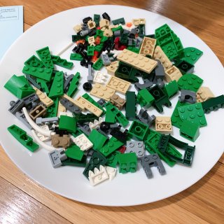 【宅家陪娃玩儿什么】Lego恐龙🦖拼拼，...