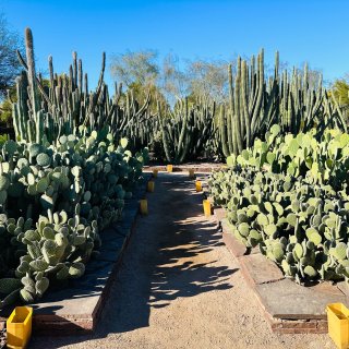 Phoenix 植物园