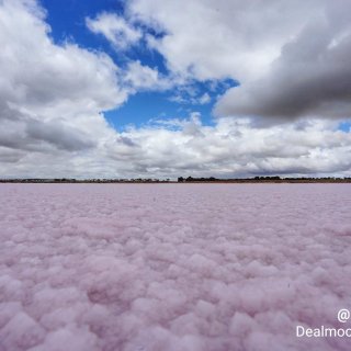 「烧钱快报粉」南半球天空下的粉色盐湖...