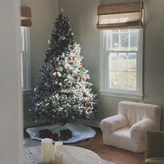 家里的第一棵圣诞树...