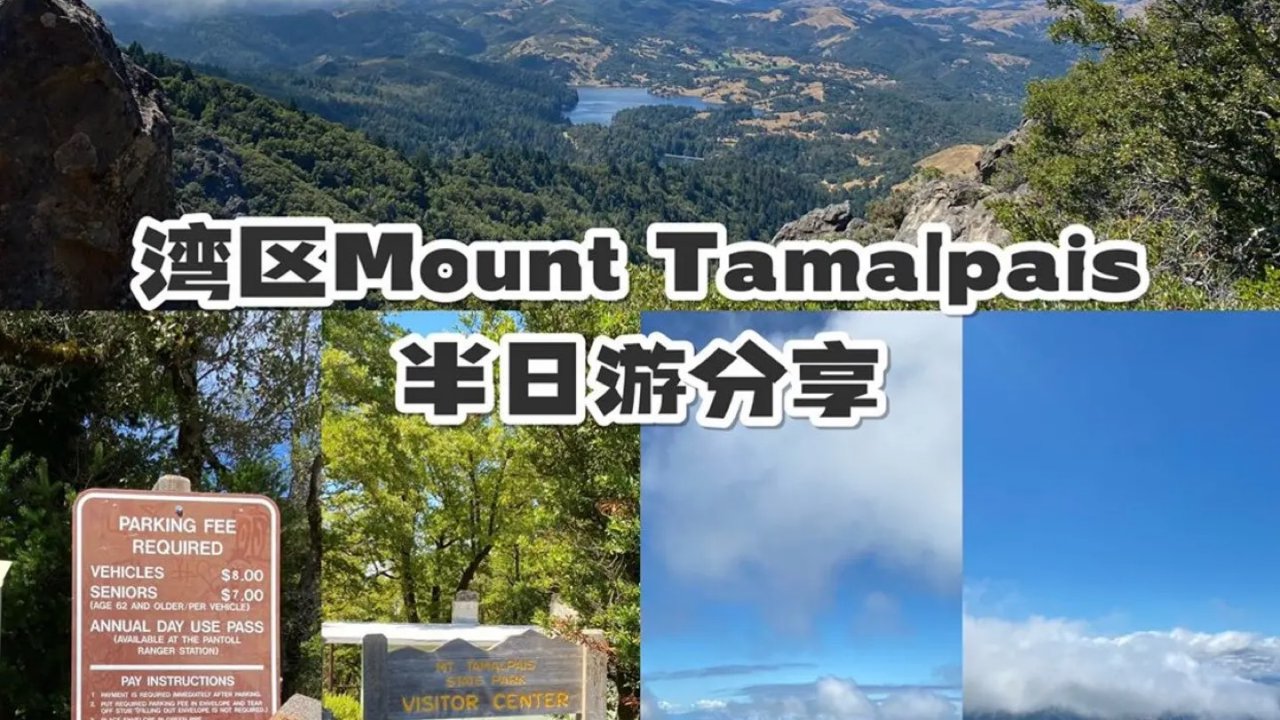 Mount Tamalpais不一样的风景