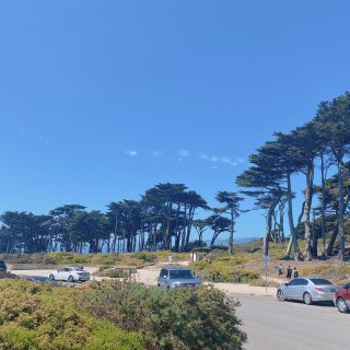 炎热的周末-Point Lobos 避暑...