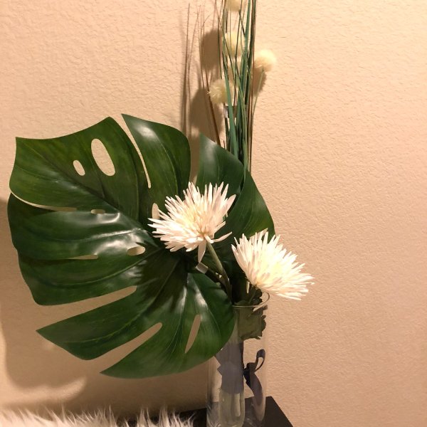 晒货图片