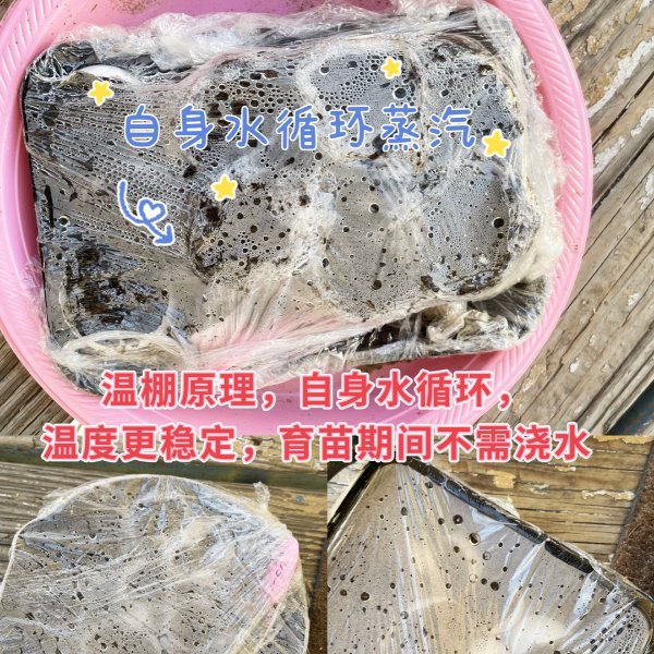 晒货图片