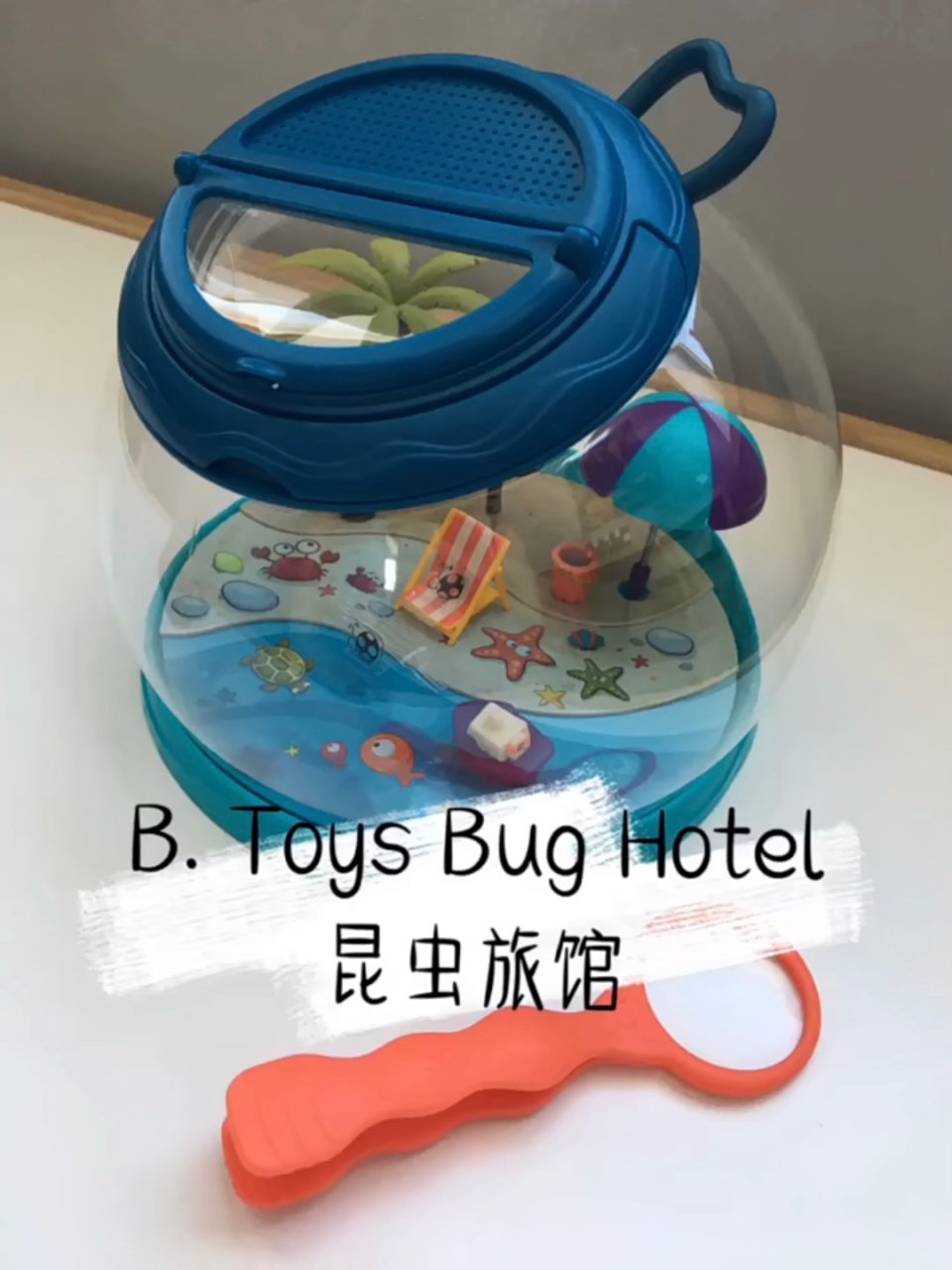 B. Toys Bug Hotel🐞昆虫...