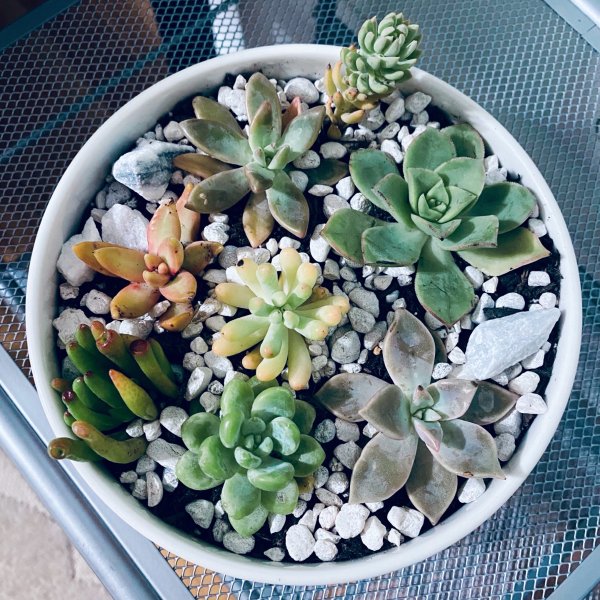 晒货图片