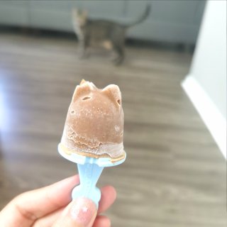 喵星人夏日减脂餐🐱 喵咪专属冰淇淋🍦...